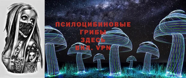 ALPHA PVP Переславль-Залесский