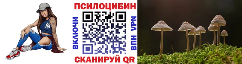 Галлюциногенные грибы GOLDEN TEACHER наркота KRAKEN зеркало Шиханы